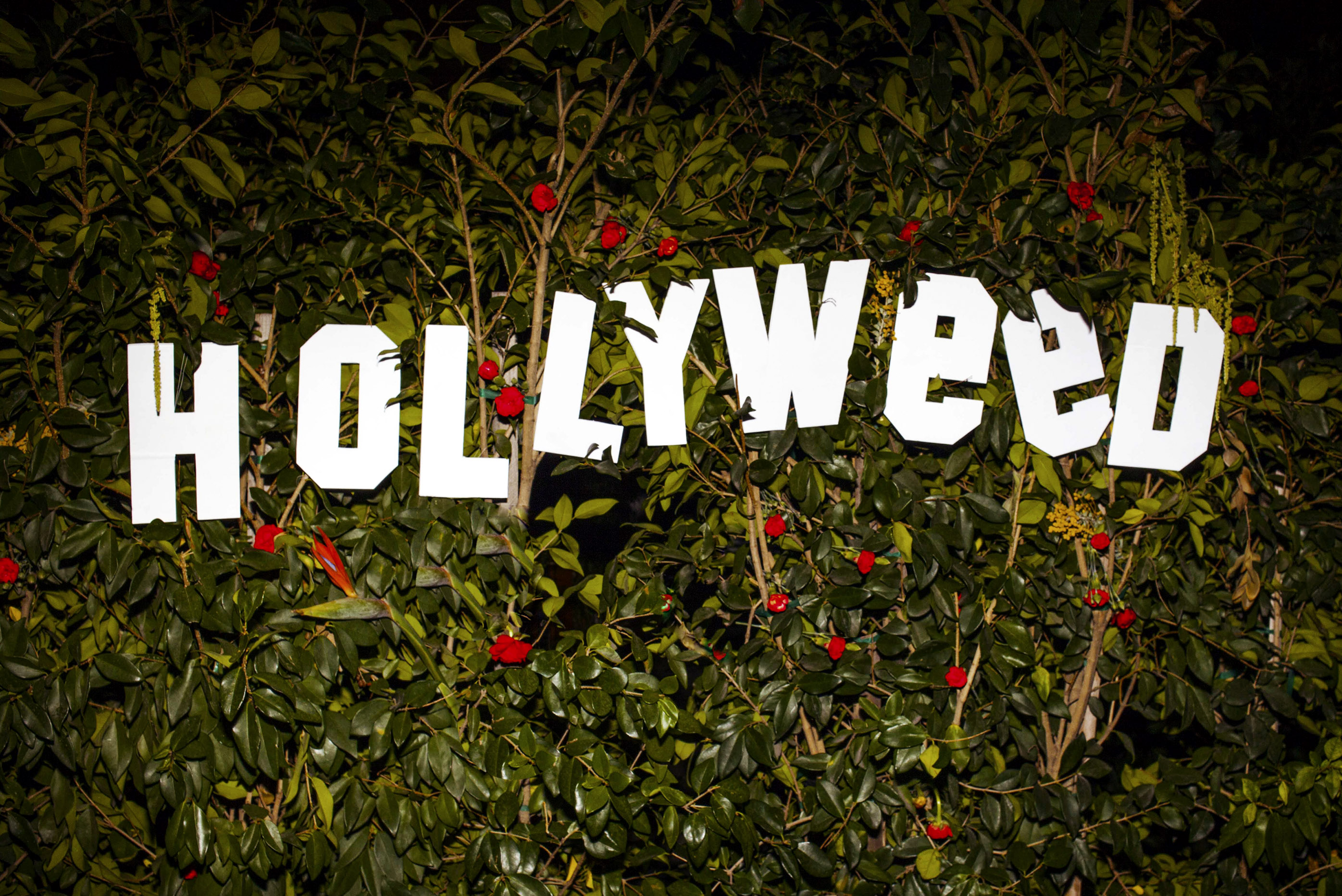 Hollyweed Sign